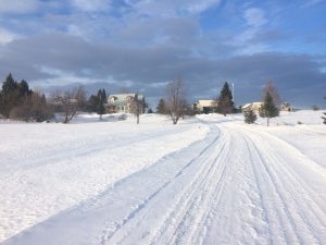 Snowy scene with long driveway in showing the privacy available